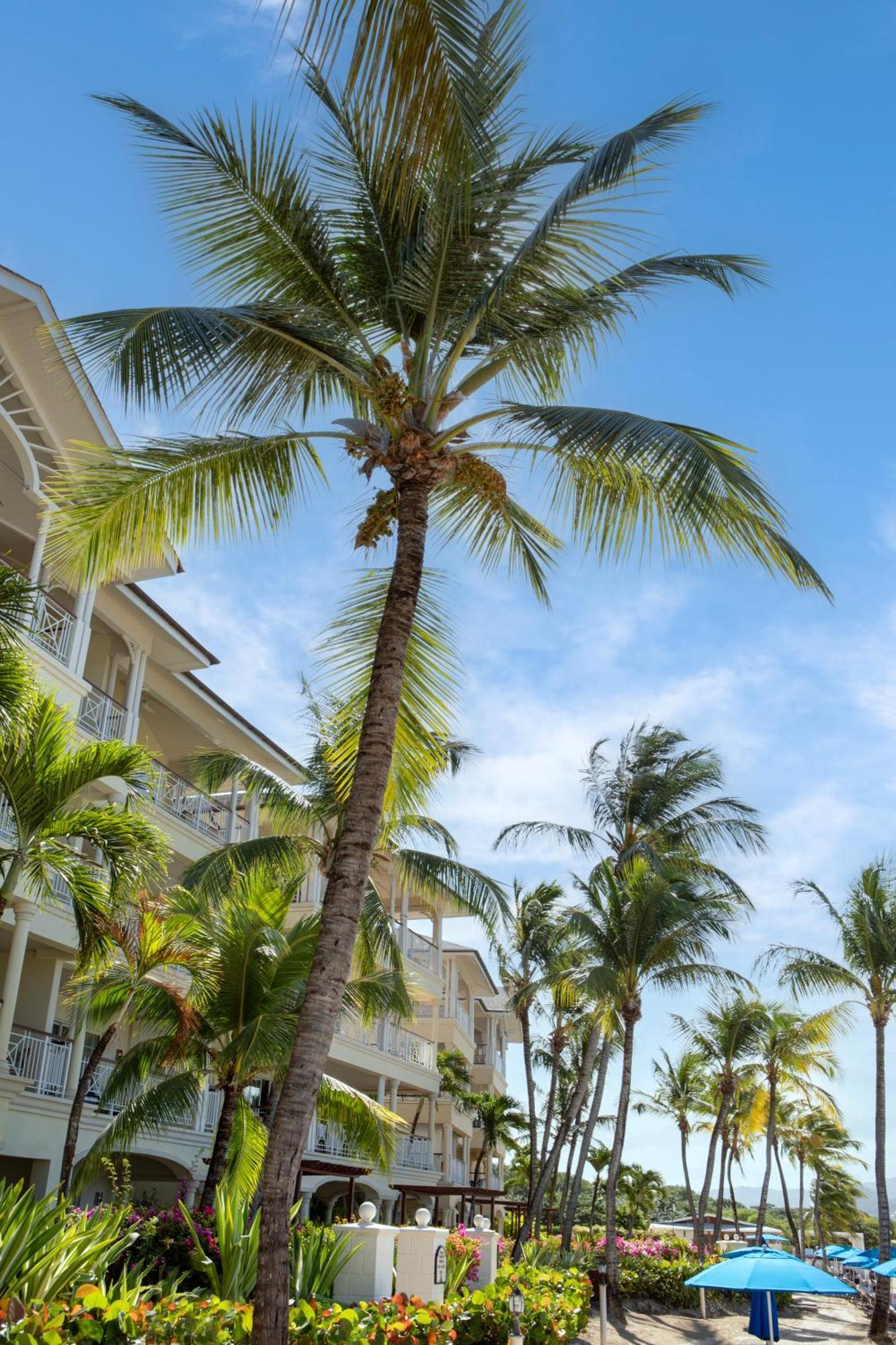 The Landings Resort And Spa - All Suites Gros Islet Bagian luar foto